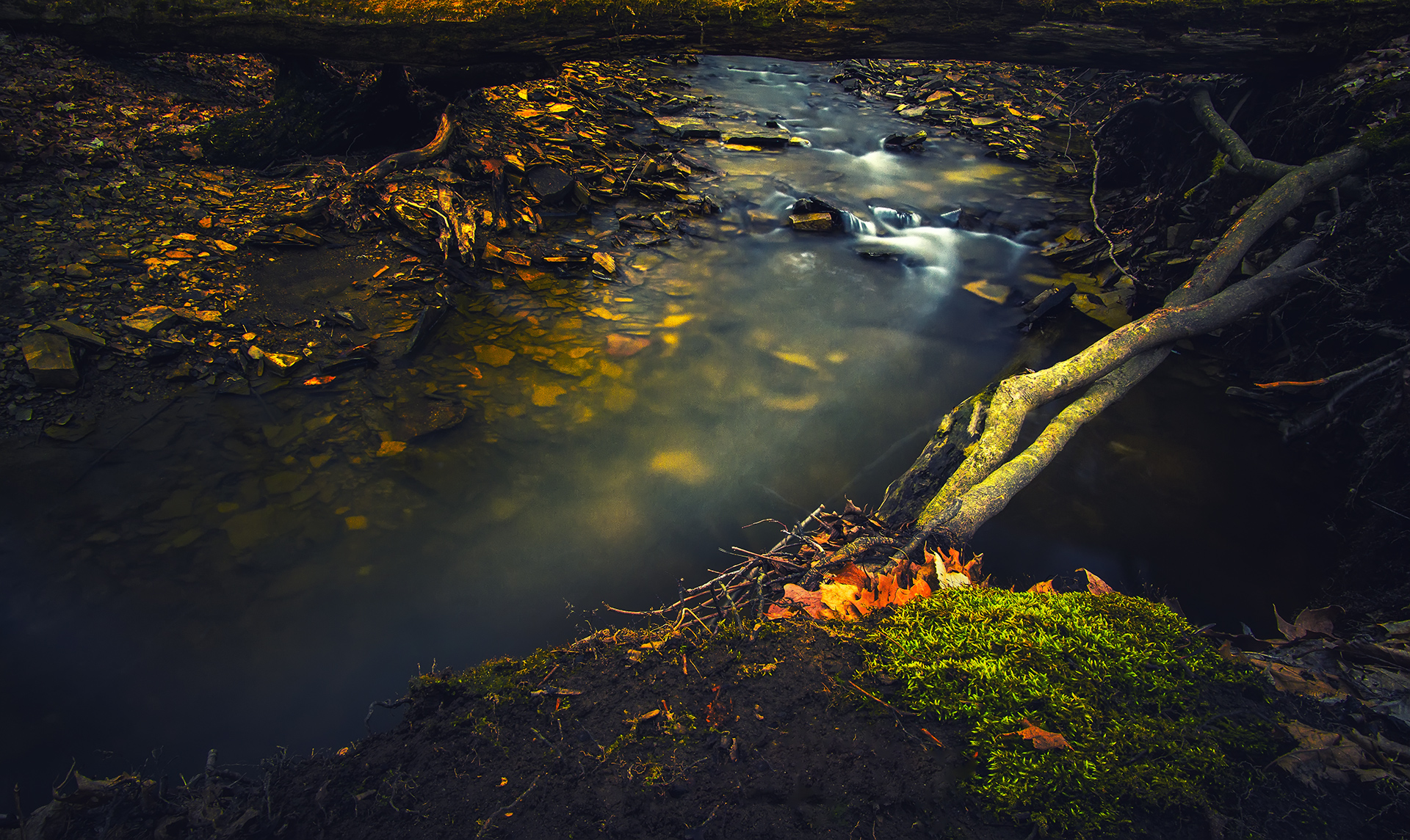 Ripple Creek