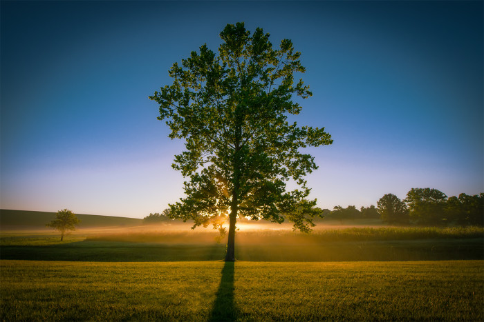 Alum Foggy Sunrise  ISO:100 - f/4.5 - 13mm - 1/500 second