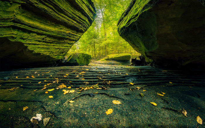 Dry Cedar Creek Bed ISO:100 - f/11 - 8mm - 1/4 sec