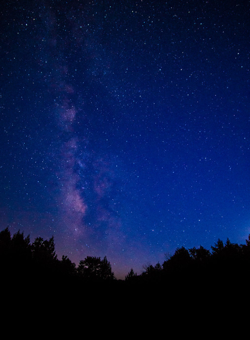 Rose Lake Milky Way ISO:1600 - f/2 - 12mm - 15 seconds