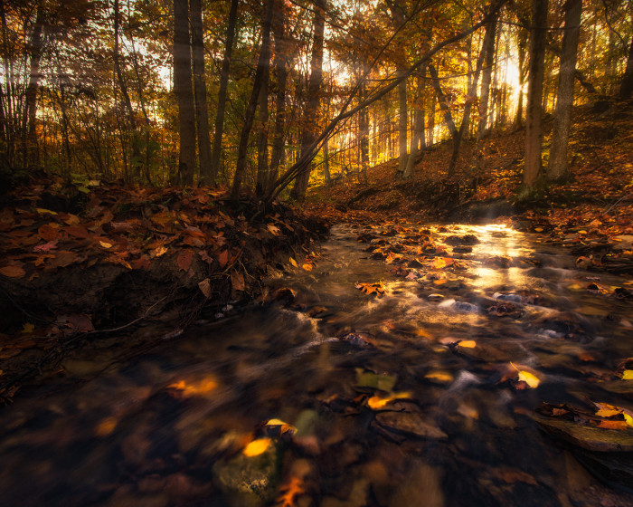 Autumn Morning Creek ISO:100 - f/11 - 10mm - 1/2 sec