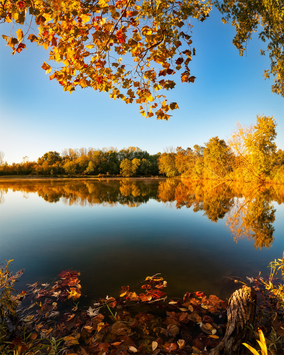 Heron Pond Autumn ISO:100 - f/6.3 - 10mm - 1/160 sec