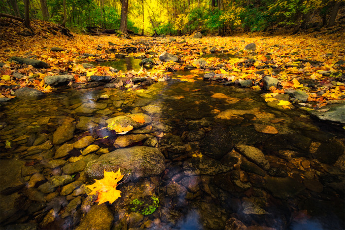 Indian Run Gorge ISO:100 - f/8 - 11mm - 1/3 sec