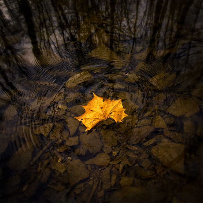 Grace Reflected ISO:400 - f/4.5 - 11mm 1/500 sec EV -1