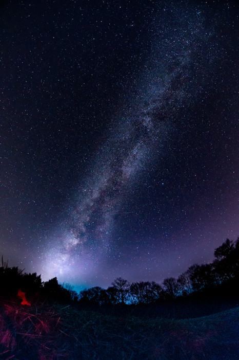 Rose Lake November Milkyway ISO:1600 - f/2.8 - 8mm - 20 sec