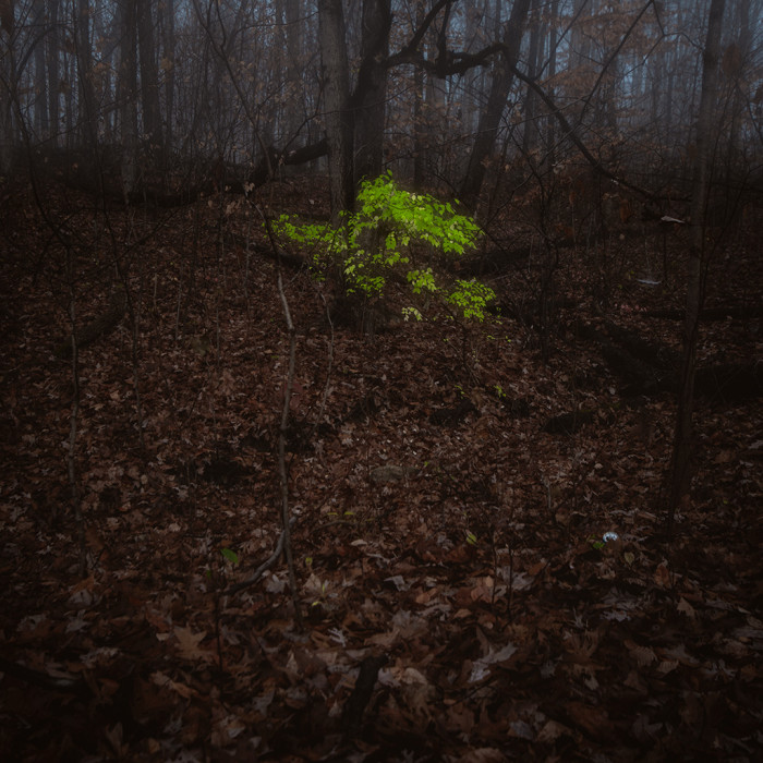 Summers Ghost ISO:100 - f/5.6 - 20mm - 1/80 sec - EV -2.3