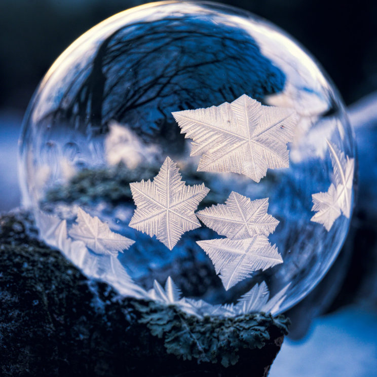 frozen bubble photography